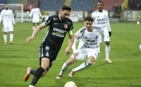 Live: Hermannstadt Faces FC Botoșani in Superliga Match #29