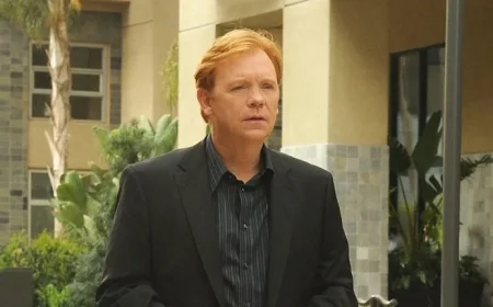 CSI Star David Caruso Appears Unrecognizable in Rare Los Angeles Sighting