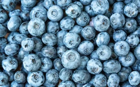 FDA Recalls Frozen Blueberries in Canada and U.S. Over Listeria Risk