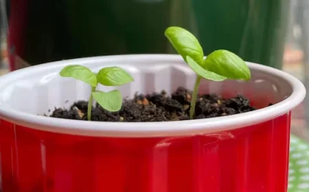 Top 5 Fun Activities in Waterloo Region: Feb. 27 to March 1