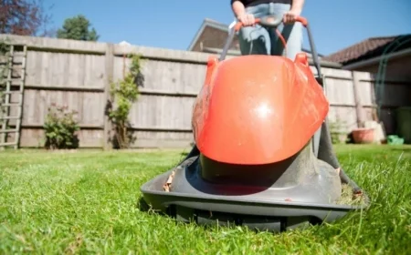 Lawn Mowing Begins: 2026 Dates for First Post-Winter Cut
