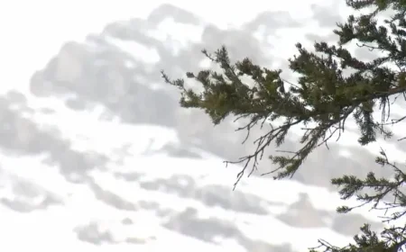 Avalanche Traps 2 Skiers Near Calgary; 1 Found Unresponsive