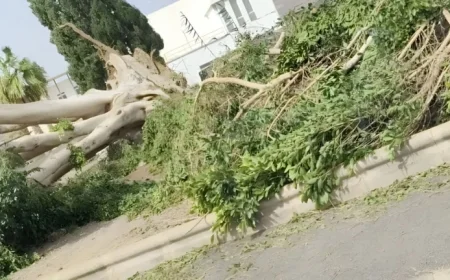 San Bartolomé de Tirajana Initiates PEMU Amid Storm-Induced Wind and Coastal Alert