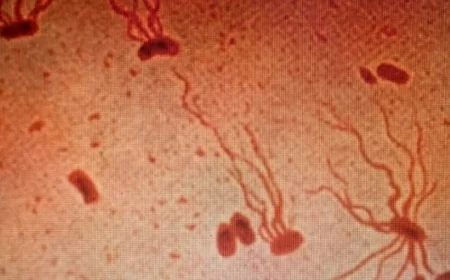 Scientists Warn: Ancient Pathogen Quickly Developing Antibiotic Resistance