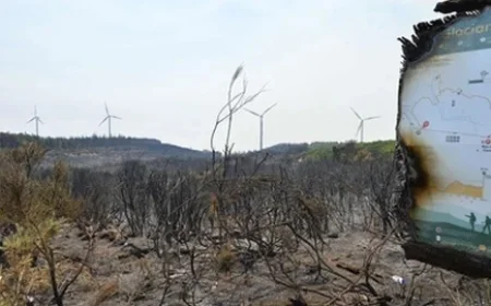 PJ Probes Alleged Fraud in Madeira’s European Fund Acquisition