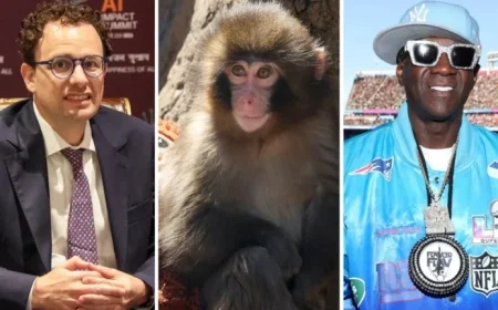 Evaluate Your Quiz Score: Forget the State of the Union