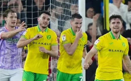 Kvistgaarden and Maghoma Lead Norwich to 2-0 Win Over Sheffield Wednesday