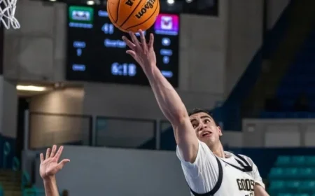 Gators Defeated in Lower State Championship Game