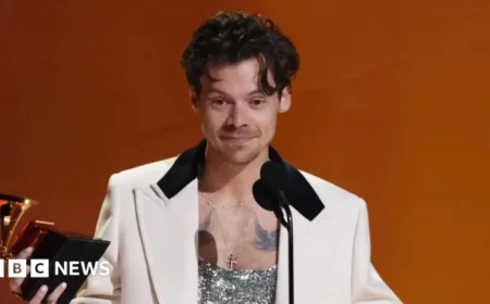 £20 Harry Styles Tickets Withdrawn Amid Scalping Concerns