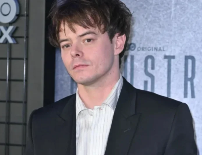 “Stranger Things Star Reveals Surprising Age Gap with Child’s Mother”