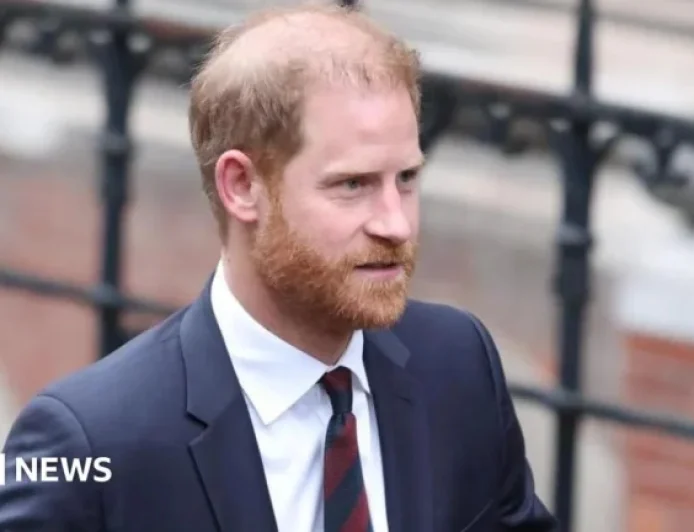 Court Hears Investigator Conducted Unlawful Activities Concerning Harry