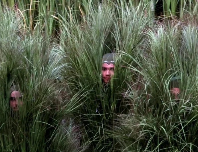 Bad Bunny Engages in Captivating Interview with Bush People