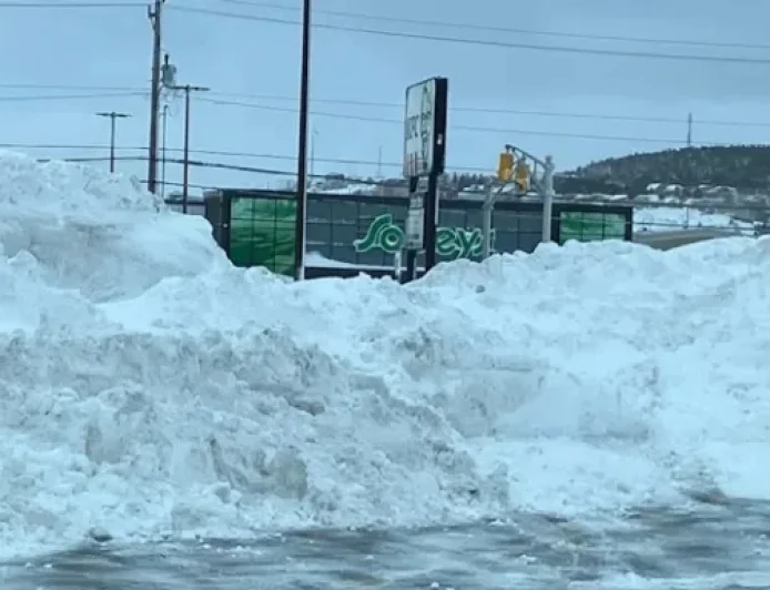 Metro Schools Closed Tuesday