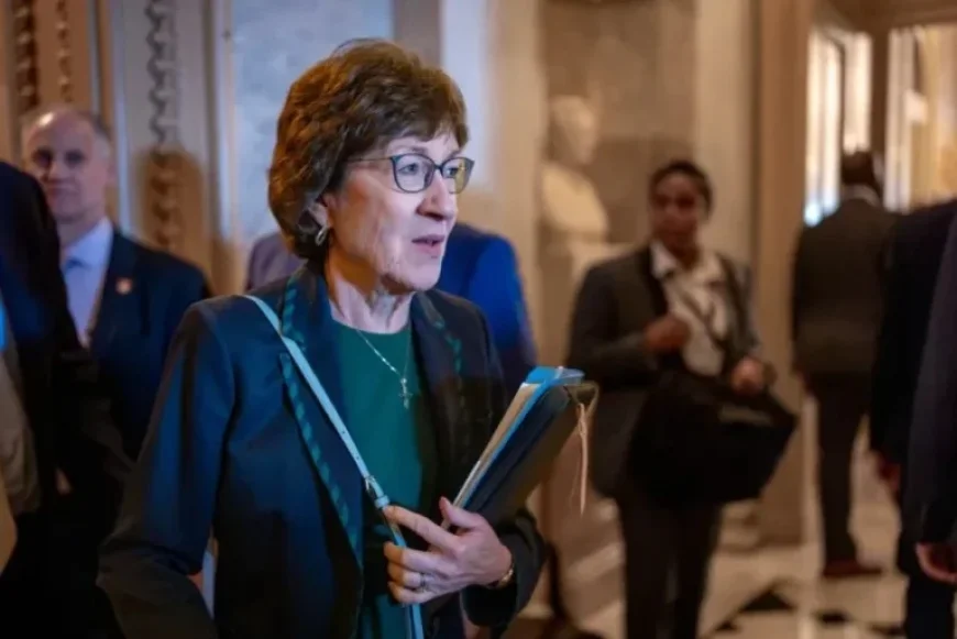 Sen. Collins Urged to Demand Stronger Measures Beyond ICE ‘Pause’ | Opinion