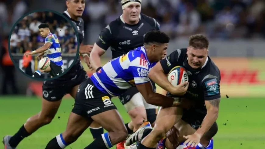 Sharks Triumph Over Stormers: Key Insights From Durban’s Fierce Clash
