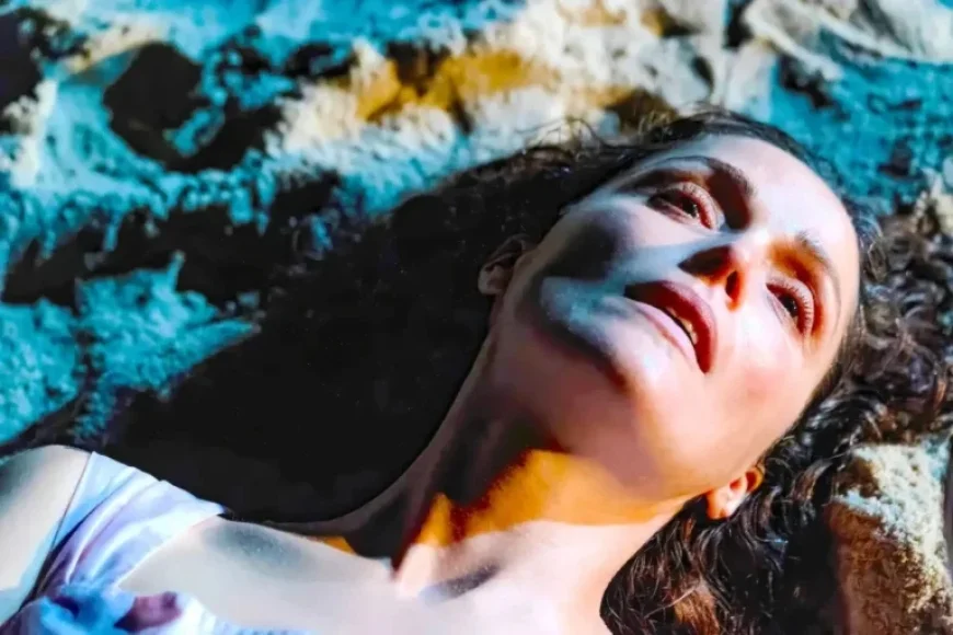 Explaining the Ending of Rose Byrne’s Film ‘If I Had Legs I’d Kick You’