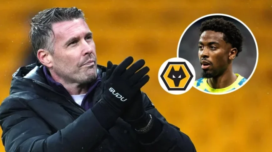 Wolves Lead Race for Ex-Man Utd Star as Newcastle, Everton Engage