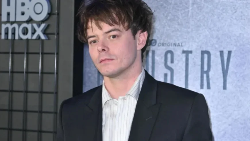 “Stranger Things Star Reveals Surprising Age Gap with Child’s Mother”