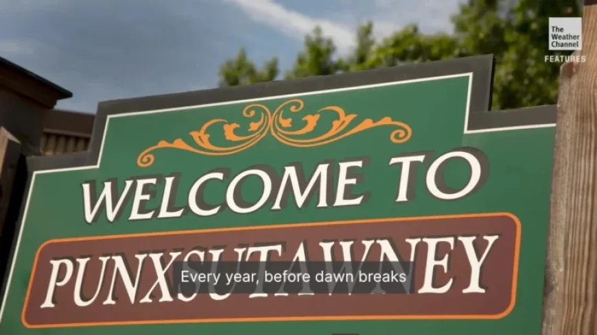 Unveiling the Society Dedicated to Protecting Punxsutawney Phil