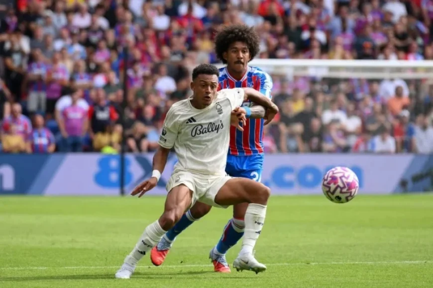 Nottingham Forest vs Crystal Palace: Analyzing Enmity, Struggles, and Mateta’s Impact