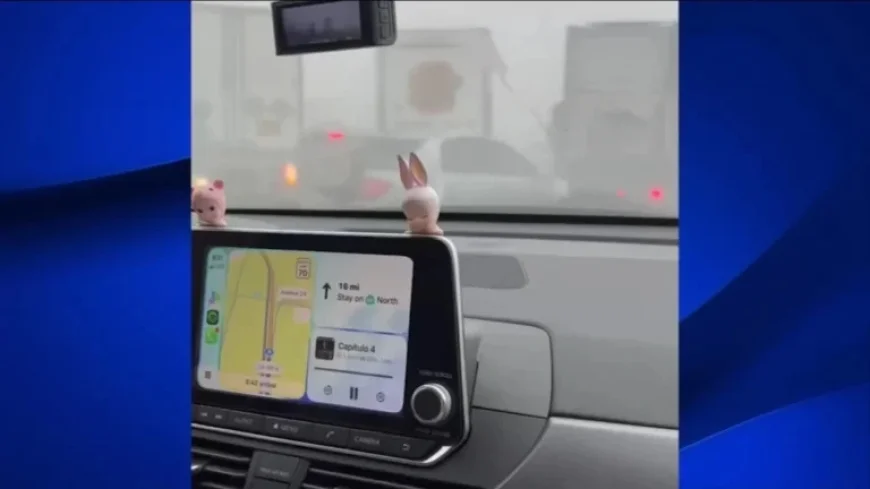 Chaos Erupts in 59-Vehicle Pileup on Highway 99 in Tulare County