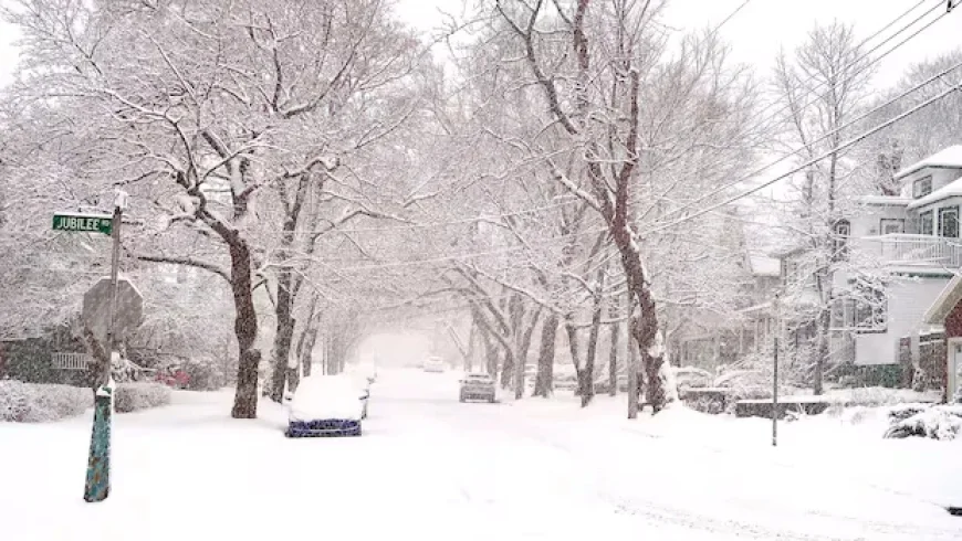 Eastern N.S. Braces for Impact of Major Winter Storm