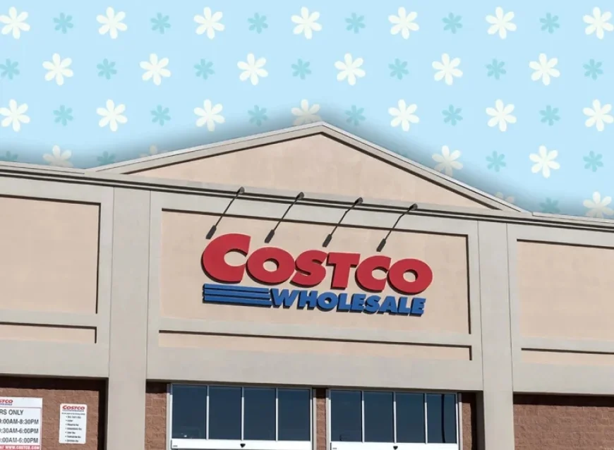 Top 7 New Costco Kitchen Products Arriving in February