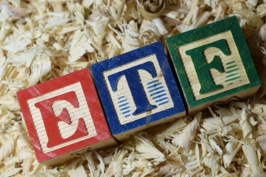 Protect Your Portfolio: 3 Vanguard ETFs to Buy Amid Market Volatility