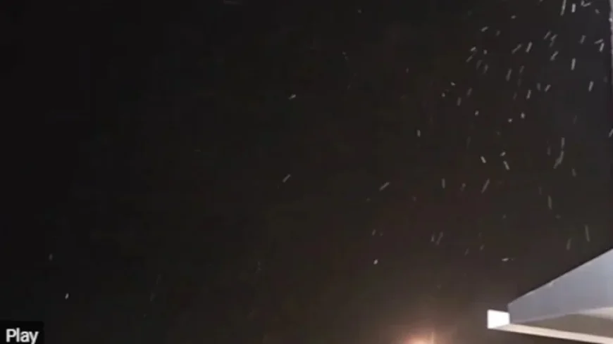 Snowfall in Tampa Bay: Last Night’s Flurries Captured