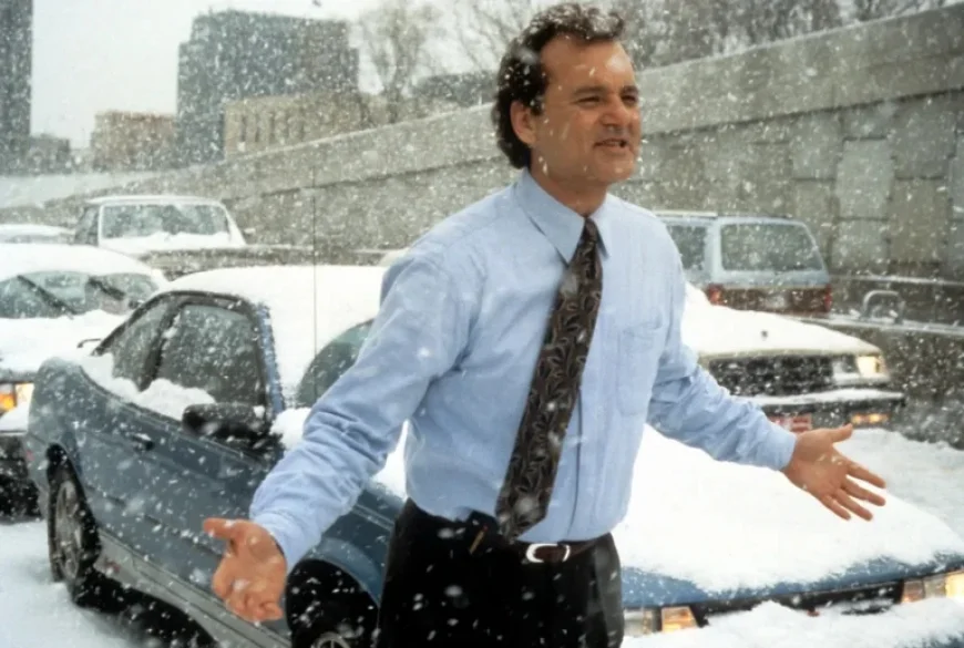 Bill Murray Bitten by Groundhog From ‘Groundhog Day’ Movie?