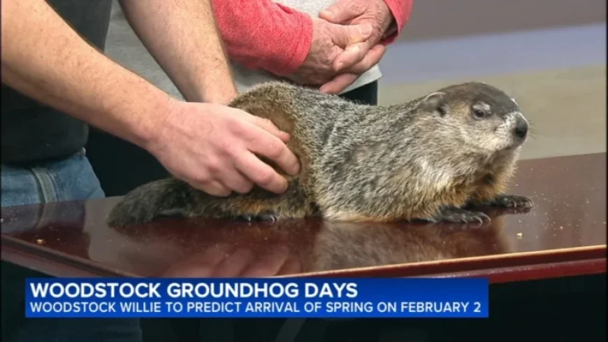 Groundhog Day 2026: Will Woodstock Willie Spot His Shadow? | LIVE