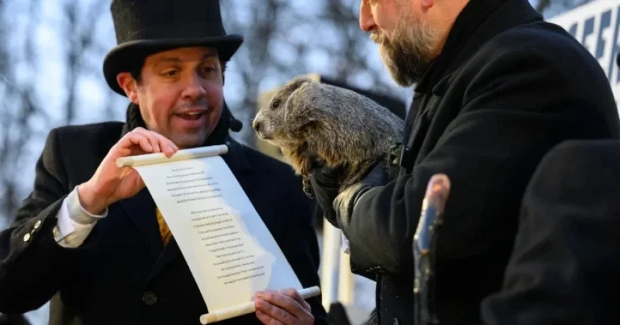 Punxsutawney Phil Predicts Longer Winter on Groundhog Day 2026