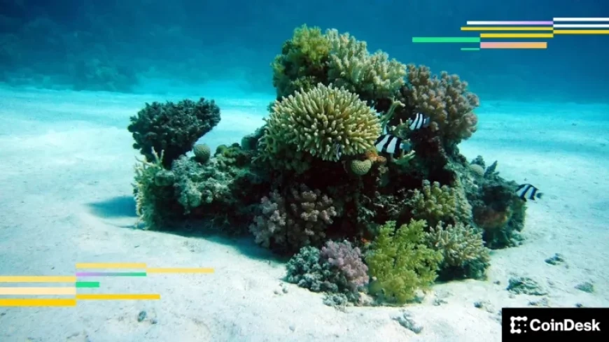 BTC Spot ETF Holders Face Losses, May Consider Selling