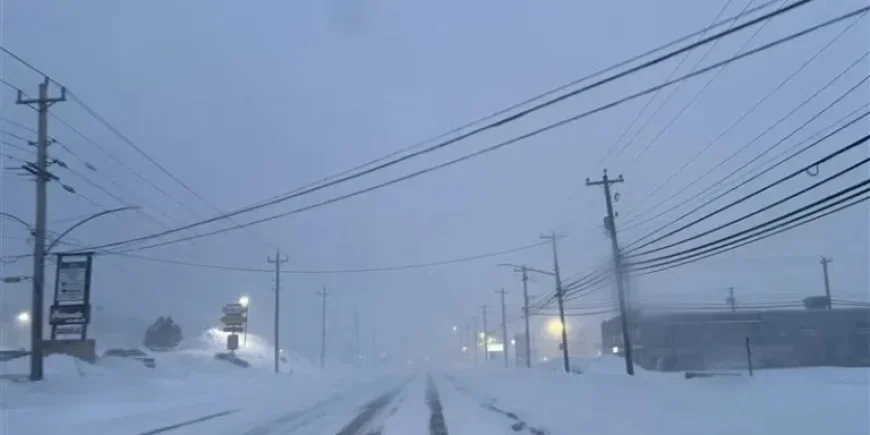 Snowstorm Forces Metro Newfoundland to Shut Down Amid Strong Winds