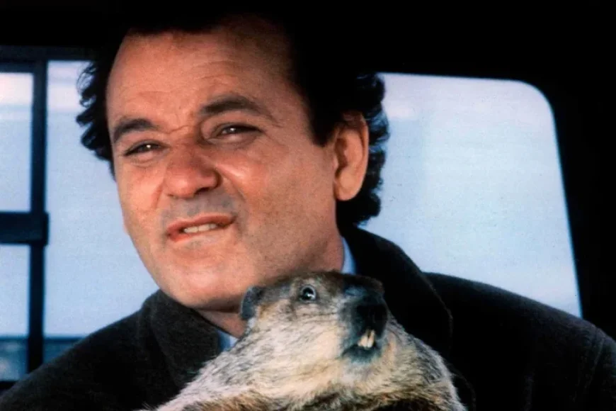 Bill Murray Bitten Twice by Wild Woodchuck on “Groundhog Day” Set