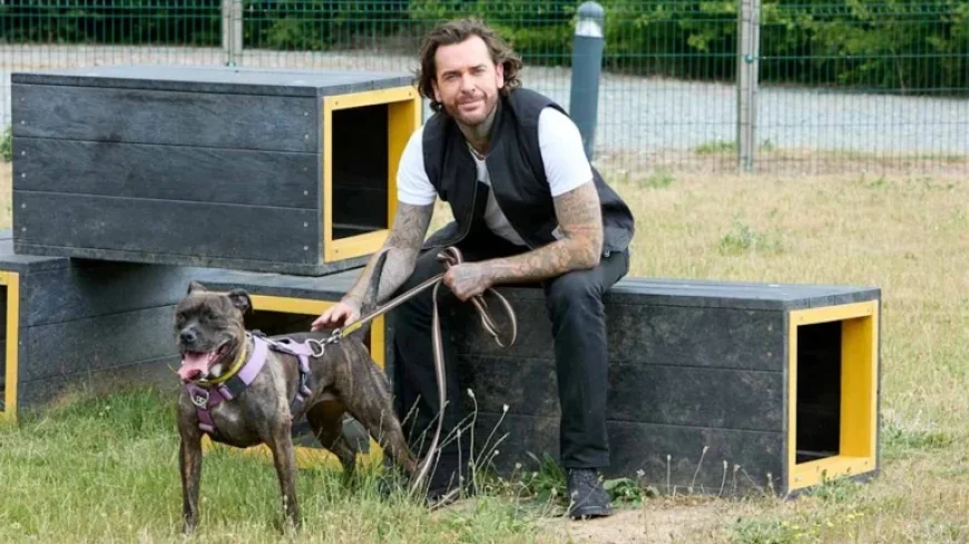 Pete Wicks’ “For Dogs’ Sake” Premieres on U&W HD: Schedule and Details