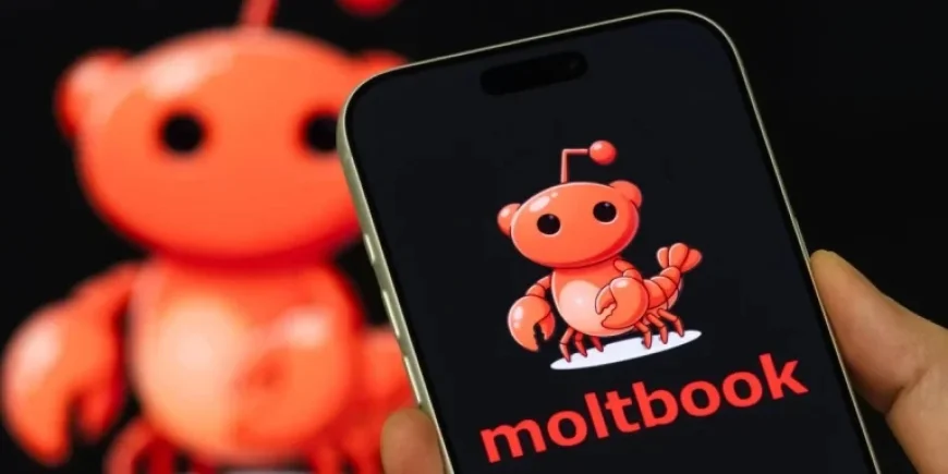 AI Experts Warn Against Using Moltbook: A ‘Disaster Waiting to Happen’
