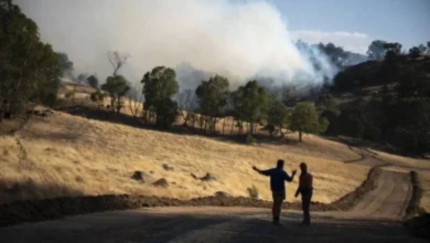 Crew Freed as Sea-Discarded Drugs Yield No Charges