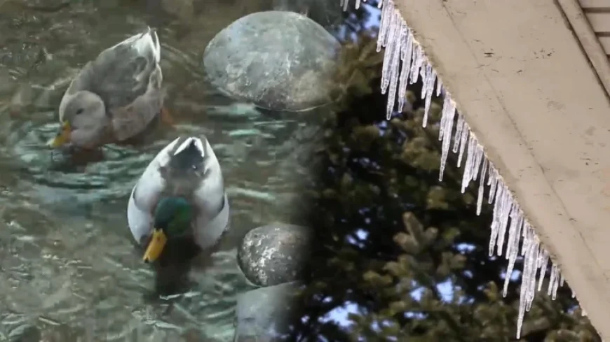 Mild Weather Until Thursday, Cold Snap Returns Friday