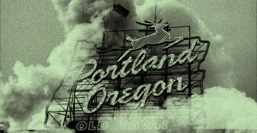 ICE Uses Tear Gas on Children in Portland