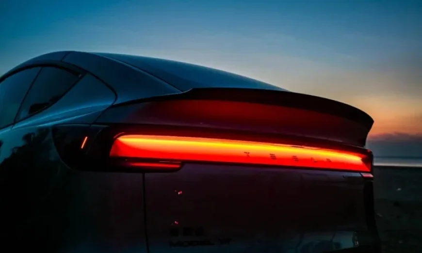 Tesla Enthusiast Predicts Merger Likelihood After Musk Confirms SpaceX-xAI Deal