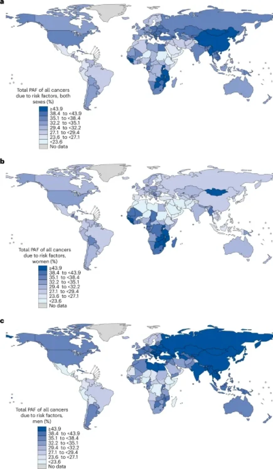 Preventable Risk Factors Linked to Global and Regional Cancer Burden