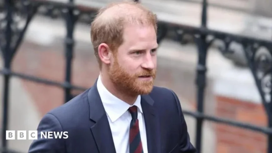 Court Hears Investigator Conducted Unlawful Activities Concerning Harry