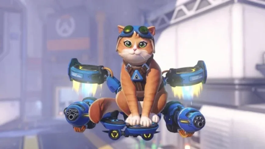 Fika the Jetpack Cat Joins Overwatch: Abilities and Details Revealed