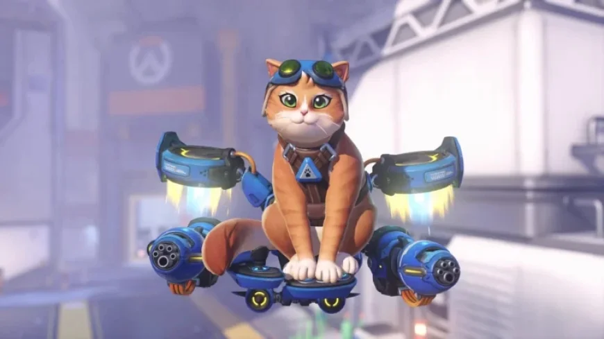 Jetpack Cat Joins Overwatch Heroes Lineup Soon