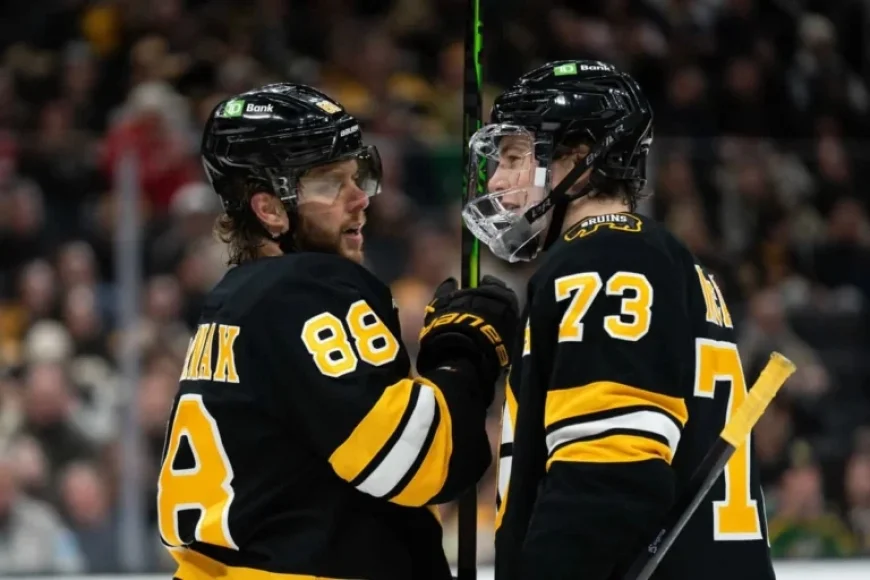Are the Bruins Prepared for a Strong Playoff Performance?