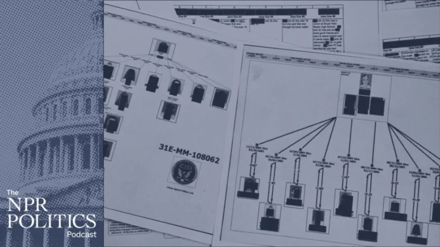 Key Insights from the Epstein Files: NPR Politics Podcast