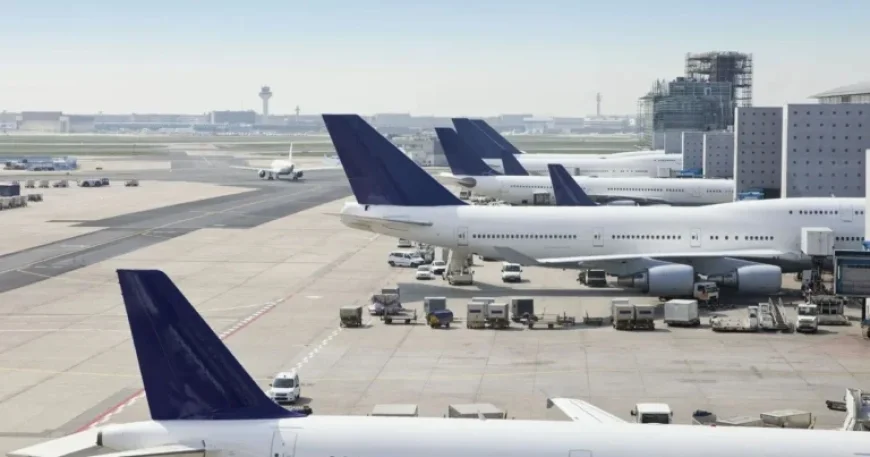 Airline Enters Liquidation Amid Plummeting Passenger Numbers; All Flights Cancelled