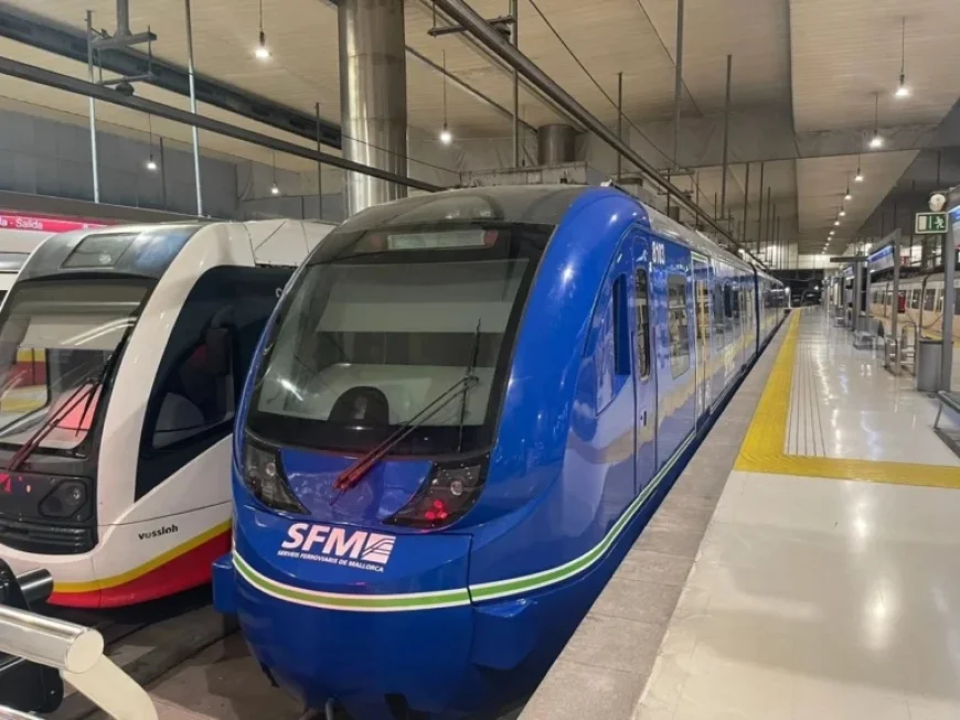 SFM Committee Grants Company One Week for Deliberation