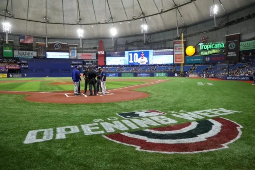 Rays Move Forward in New Stadium Search
